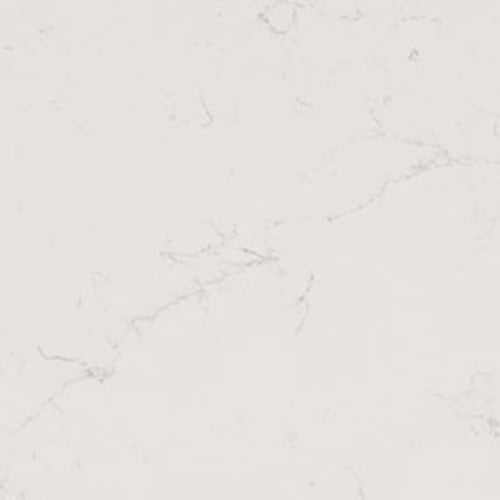 Alabaster White countertop surface